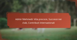 Admir Mehmedi: Vita precoce, Successi nei club, Contributi internazionali